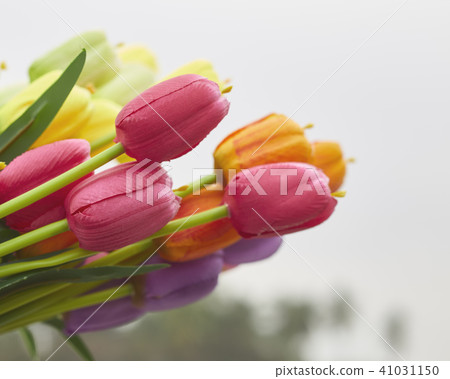 bouquet of tulips in spring bouquet of tulips in spring 41031150