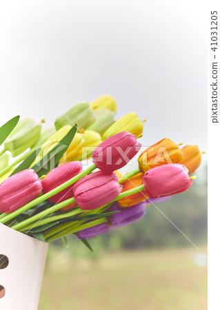 bouquet of tulips in spring bouquet of tulips in spring 41031205
