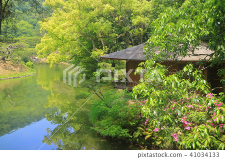 新鮮的綠色Rurin公園 41034133