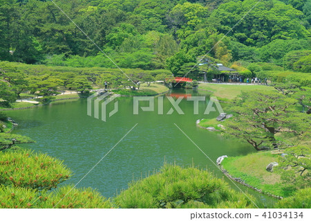 新鮮的綠色Rurin公園 41034134