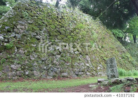 Takatori Castle Ruins 41037192