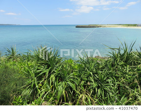 Sea of Miyakojima 41037470