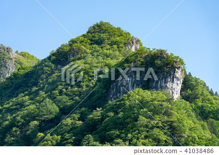 Miyama, Gunma ken (May) 41038486