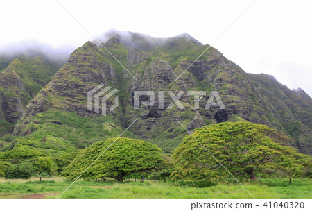 A magnificent view of Kualoa Ranch 41040320