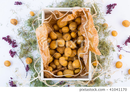 收穫土豆 41041170