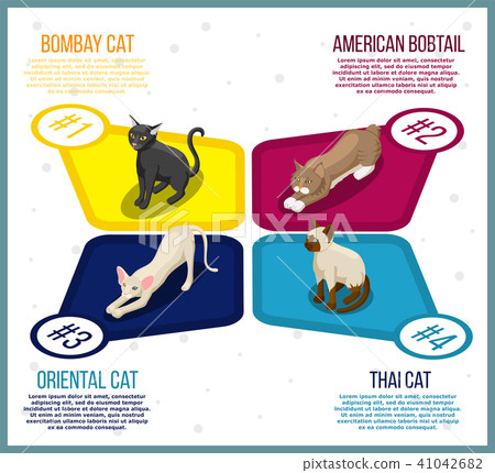 Purebred Cats Isometric Infographics 41042682