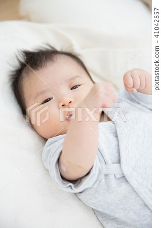 vaccination 41042857