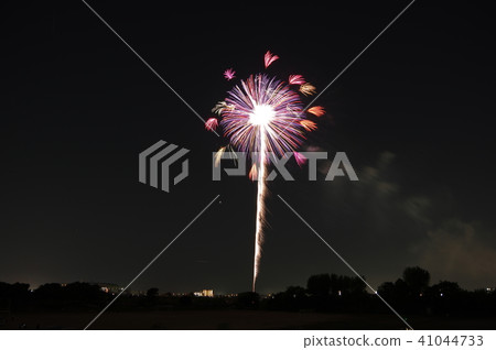 Fireworks of flowers Fireworks of flowers 41044733