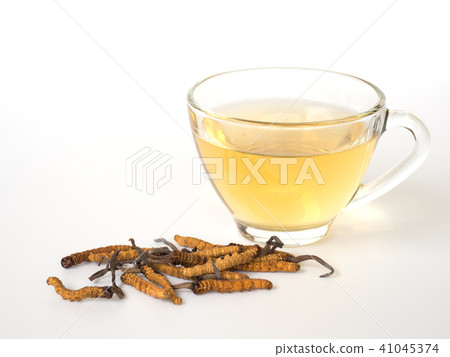 mushroom cordyceps this a herbs. With a glass mushroom cordyceps this a herbs. With a glass 41045374