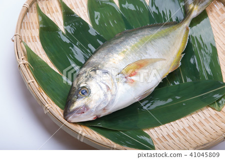 Natural fancy ingredients 41045809