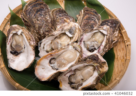 搖滾牡蠣配料 41046032