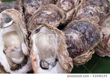 岩牡蠣 41046145