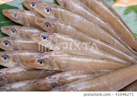 Kiss fish ingredients 41046271