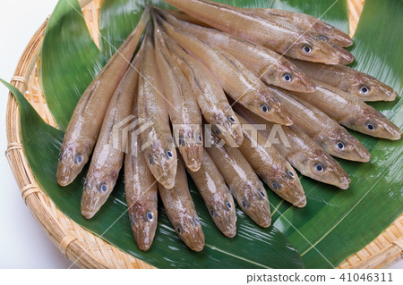 吻魚成分 吻魚成分 41046311
