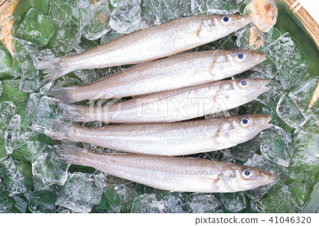 Kiss fish ingredients 41046320