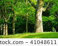 春天公園 41048611