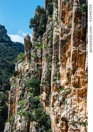 Royal Trail in gorge Chorro, Malaga, Spain 41048705