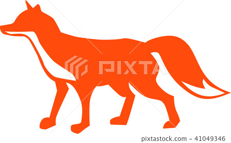 Red fox 41049346
