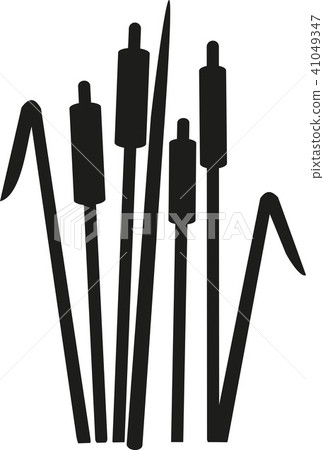 reed.eps - Stock Illustration [41049347] - PIXTA