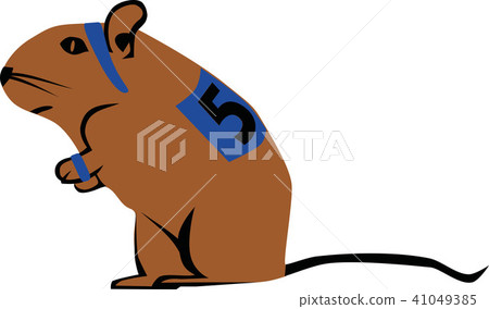 rennmaus_2c.eps 41049385