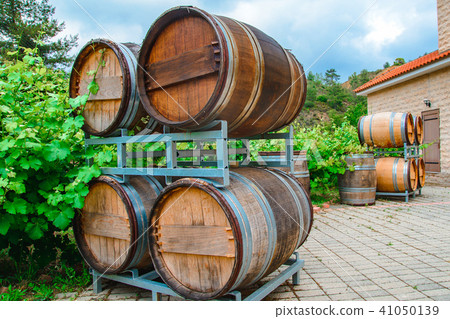 barrels for wine and grape bush growing nearby 41050139