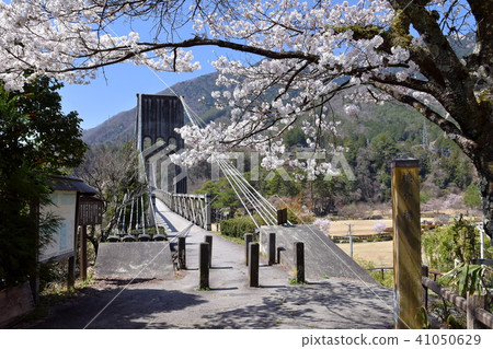 Momosuke橋 Momosuke橋 41050629