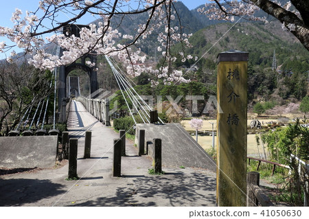 Momosuke橋 Momosuke橋 41050630