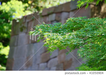 Tamadenin Maru Garden（石川縣·金澤市） 41050904
