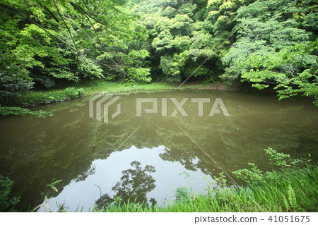 Hakuba shrine's bathroom wash Hakuba shrine's bathroom wash 41051675