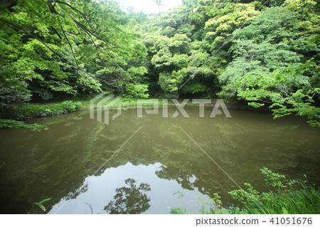 白馬神社的浴室洗滌 白馬神社的浴室洗滌 41051676
