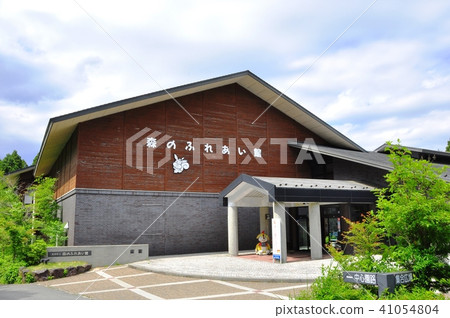 箱根町箱根安木之森“森林Fureaikan”和新鮮的綠色 41054804