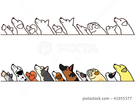The dogs' border set looking up and looking sideways The dogs' border set looking up and looking sideways 41055377