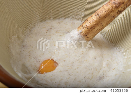 野生山藥 41055566