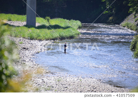 Ayu fishing in the upper basin of the Shimanto River 41057509