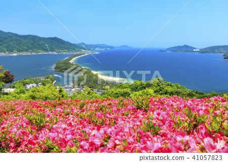 天橋立 天橋立 41057823