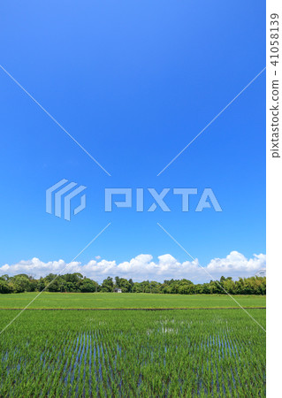 Rural scenery of Chosei village in Chiba prefecture Rural scenery of Chosei village in Chiba prefecture 41058139