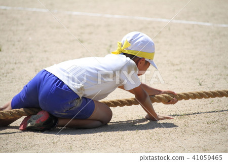 Elementary school sports festival tug of war Elementary school sports festival tug of war 41059465
