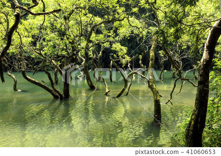 Immovable pond Immovable pond 41060653