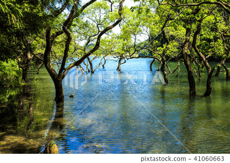 Immovable pond Immovable pond 41060663