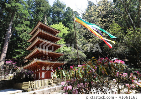 Muroji寺廟春天風景 Muroji寺廟春天風景 41061163