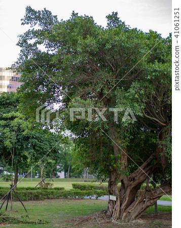 都市公園 41061251