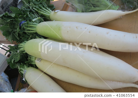 蘿蔔蘿蔔 蘿蔔蘿蔔 41063554