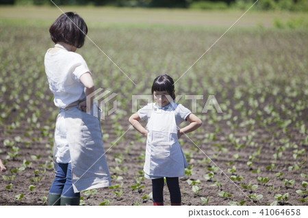 Families working in fields Families working in fields 41064658
