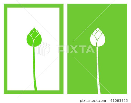 green bud lotus vector green bud lotus vector 41065523
