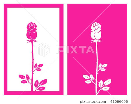 pink bud rose vector pink bud rose vector 41066096