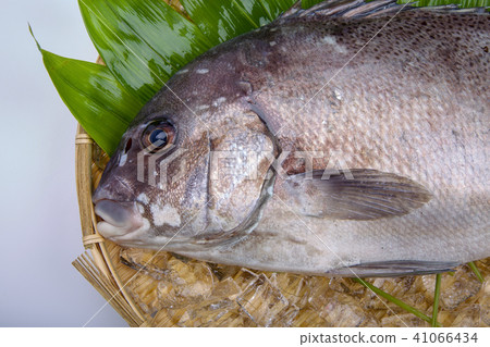 Pepper dice ingredients 41066434