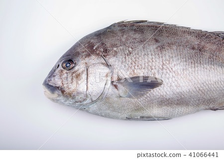 Pepper dice ingredients 41066441