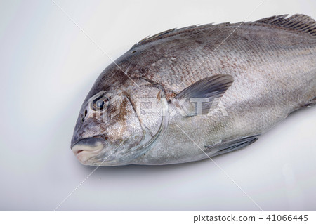 Pepper dice ingredients Pepper dice ingredients 41066445