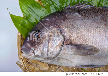 Pepper dice ingredients 41066449