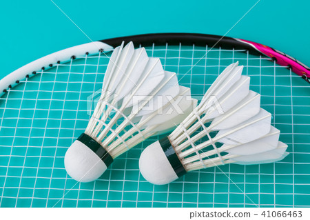 Badminton shuttlecocks and racket on green Badminton shuttlecocks and racket on green 41066463